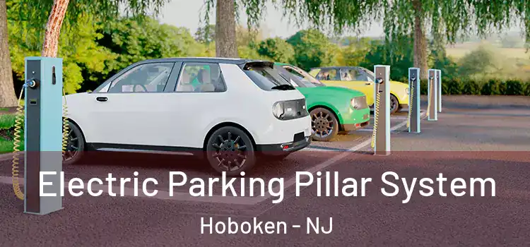  Electric Parking Pillar System Hoboken - NJ
